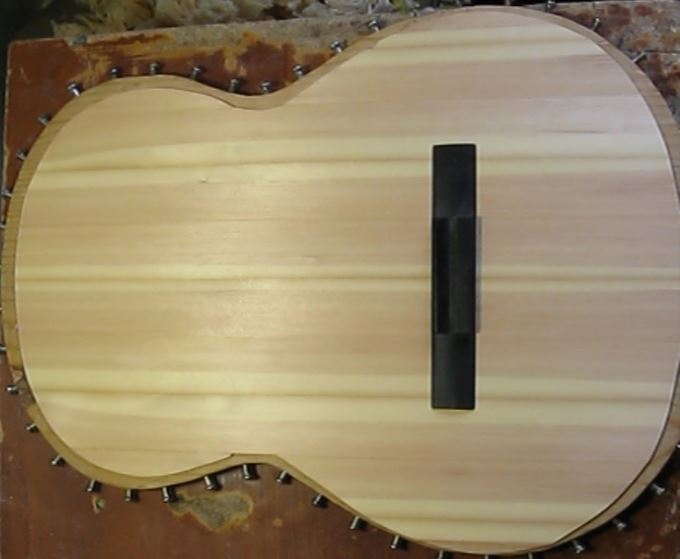 finished guitar top